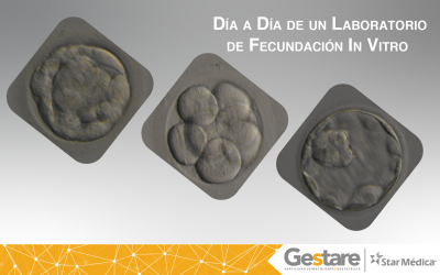 Día a Día de un Laboratorio de Fecundación In Vitro