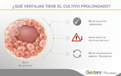 ¿Qué Ventajas tiene el Cultivo Prolongado?