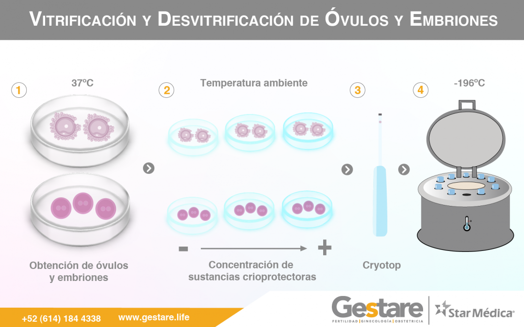 Vitrificación y Desvitrificación de Óvulos y Embriones