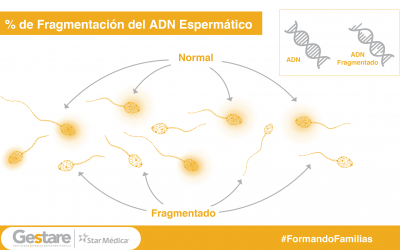 % de Fragmentación del ADN Espermático.