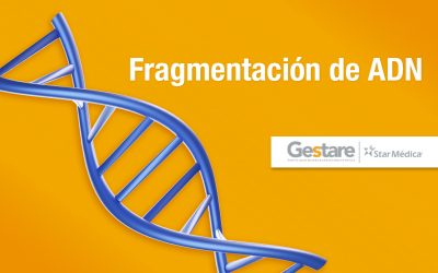 Fragmentación de ADN